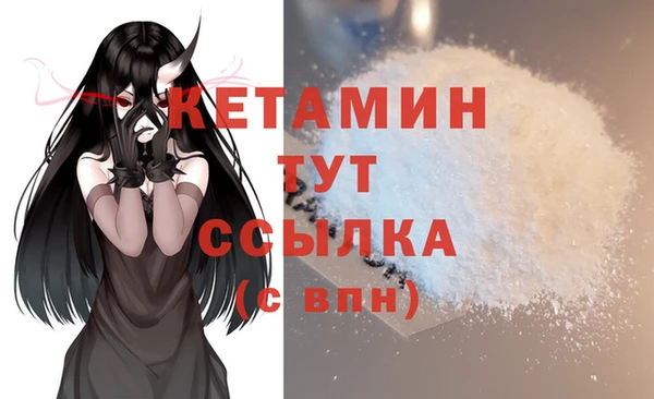 ПСИЛОЦИБИНОВЫЕ ГРИБЫ Заводоуковск