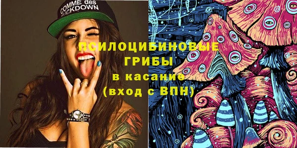 ПСИЛОЦИБИНОВЫЕ ГРИБЫ Заводоуковск