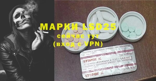 ПСИЛОЦИБИНОВЫЕ ГРИБЫ Заводоуковск