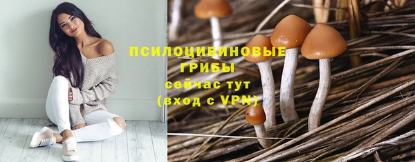 метамфетамин Нязепетровск