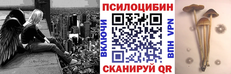 Псилоцибиновые грибы MAGIC MUSHROOMS  MEGA зеркало  Звенигород 